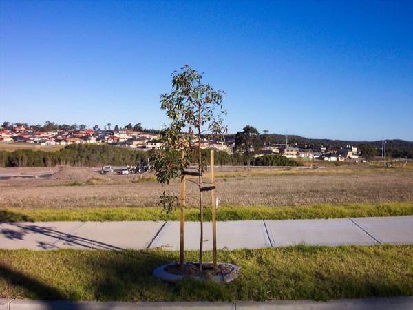 Sunset Ridge Estate, WOONAGARRAH Picture 1