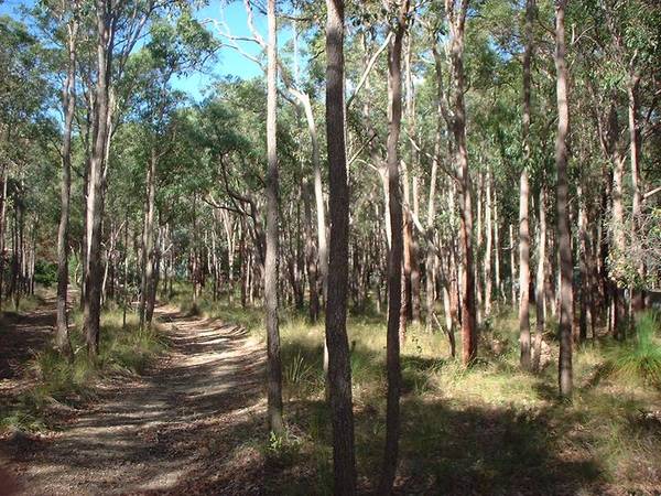 MOTIVATED SELLER - MUST SELL - OFFERS INVITED Picture 3