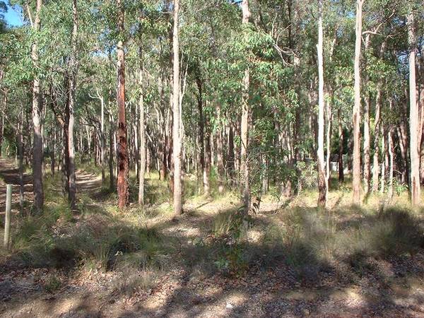 MOTIVATED SELLER - MUST SELL - OFFERS INVITED Picture 1