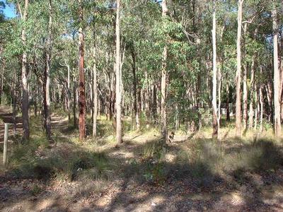 MOTIVATED SELLER - MUST SELL - OFFERS INVITED Picture