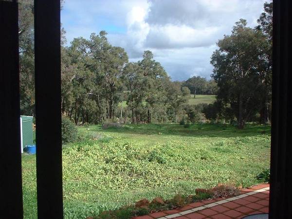 FOR HORSES Picture 1