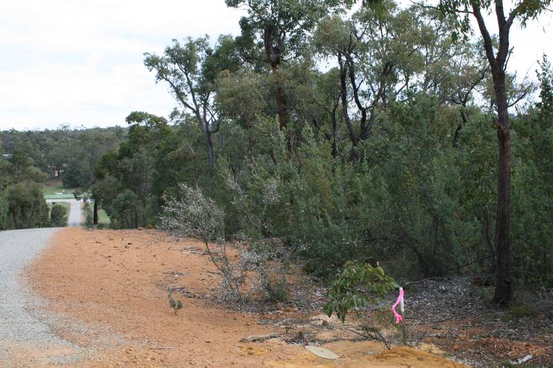 CHOICE OF 2 Picture 3