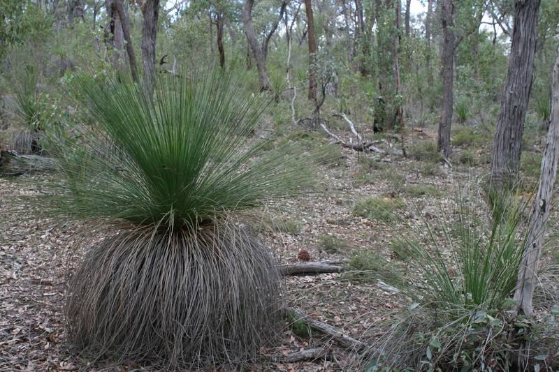 CHOICE OF 2 Picture 2