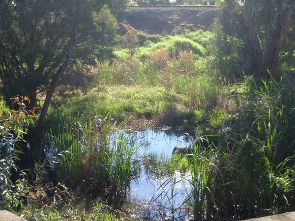 Neat Unit in Quiet Location Picture 2