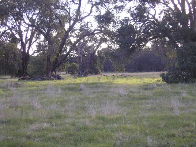 HILLS - GIDGEGANNUP Picture 3