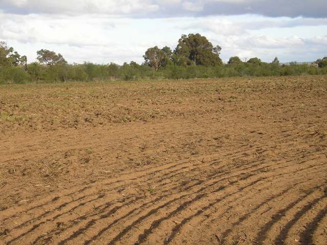 HILLS - GIDGEGANNUP Picture 2