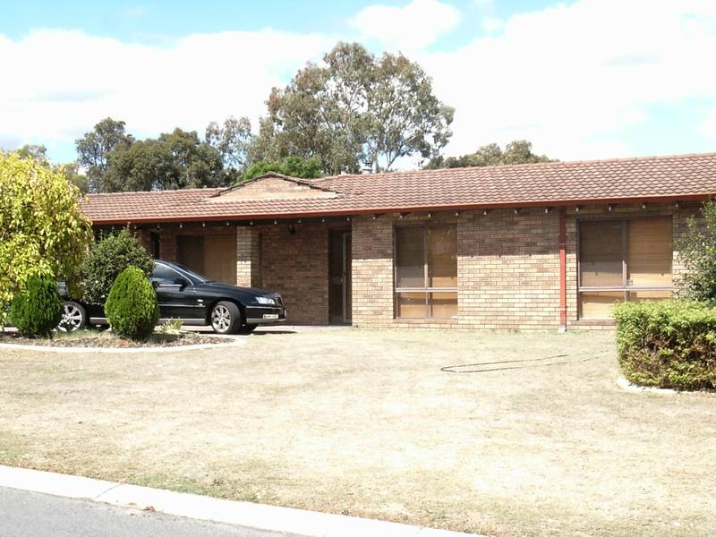 LARGER THAN AVERAGE Picture 2