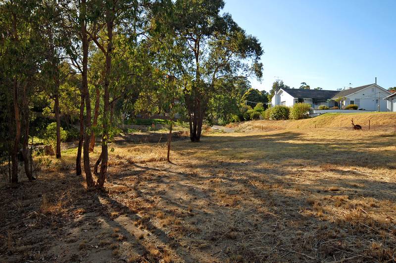 VACANT LAND Picture 3