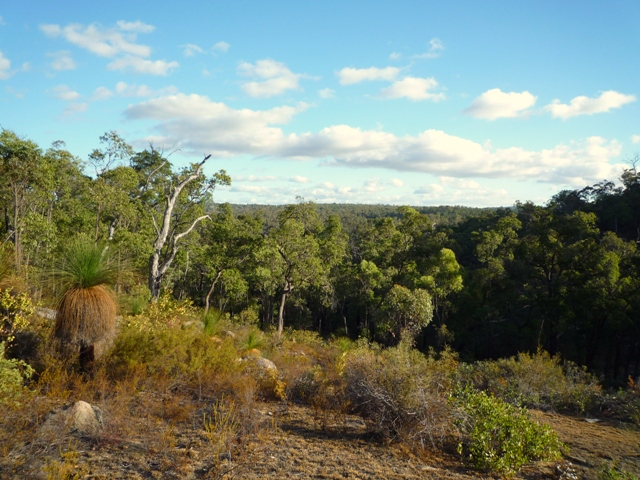 122 ACRES, 2 TITLES Picture 2