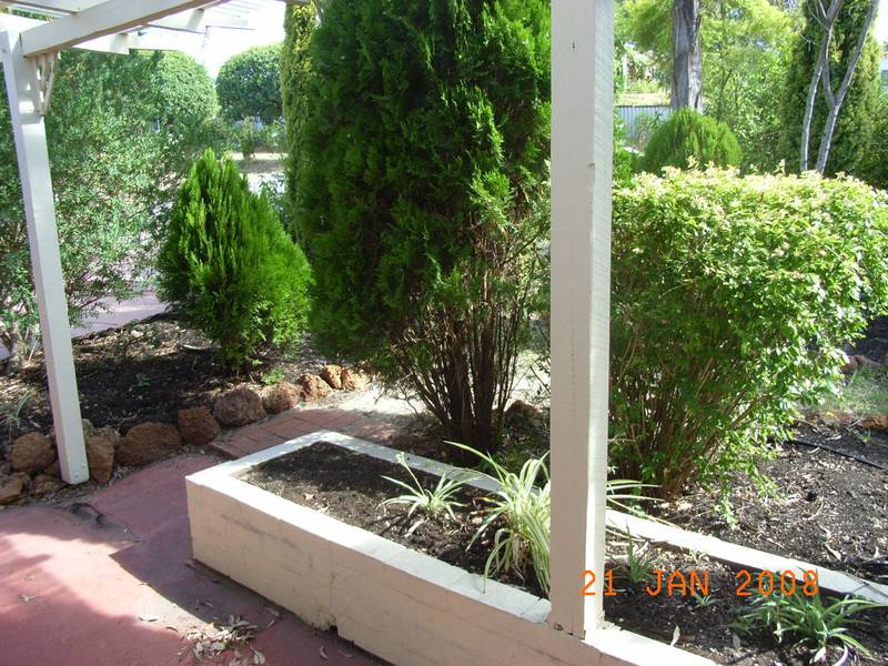 FOR THE KEEN GARDENER Picture 2