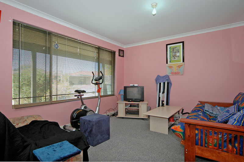 GREAT STARTER Picture 2