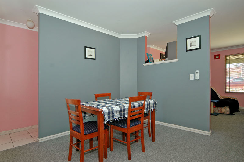 GREAT STARTER Picture 3