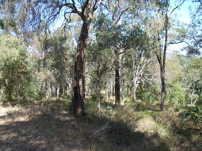 SUPERB LOCATION Picture 3