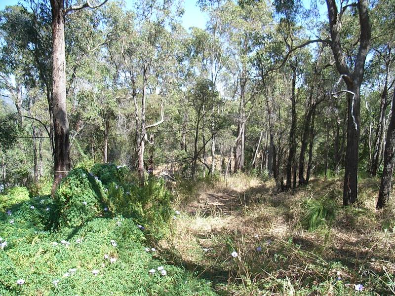 SUPERB LOCATION Picture 2