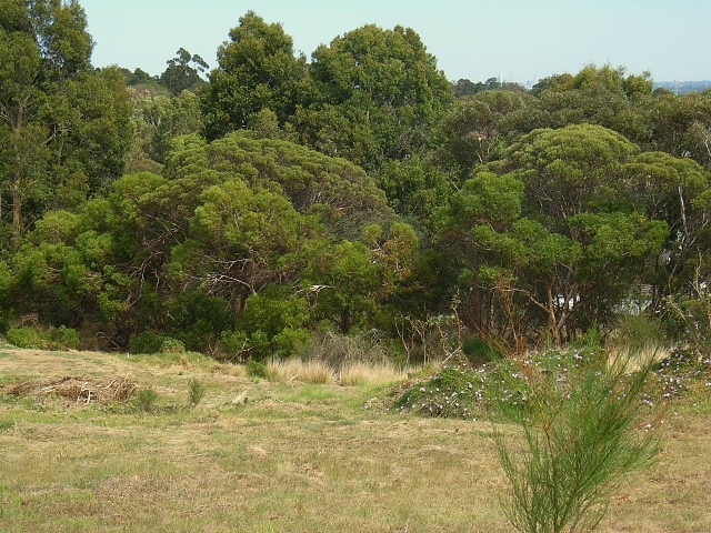 EXCELLENT LOCATION Picture 1