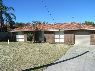 BUDGET PLEASER Picture