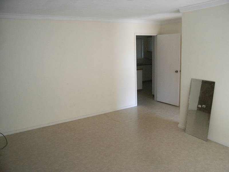 BUDGET PLEASER Picture 2