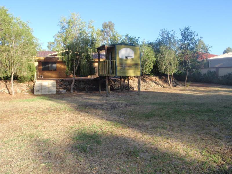 THE VINES RENTERS Picture