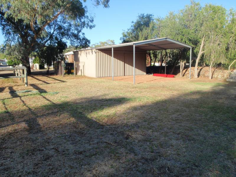 THE VINES RENTERS Picture