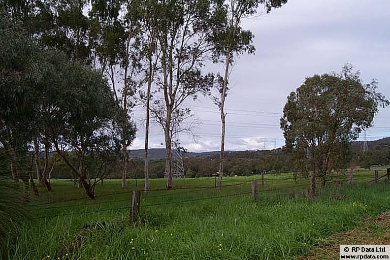 VACANT LAND - HORSE PADDOCKS ONLY - NO HOUSE Picture 1