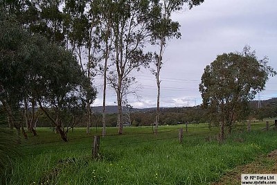VACANT LAND - HORSE PADDOCKS ONLY - NO HOUSE Picture VACANT LAND - HORSE PADDOCKS ONLY - NO HOUSE Picture