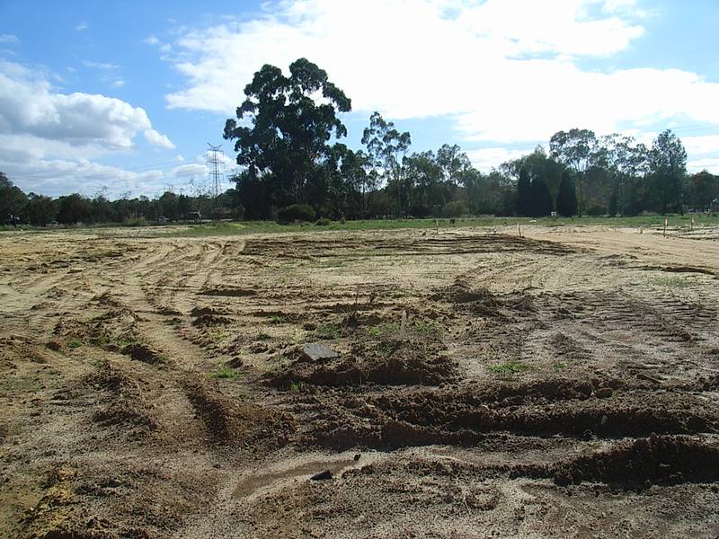 VACANT LAND PLUS EXTRAS Picture 3