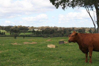 37.5ha (92.6 ACRES) Picture