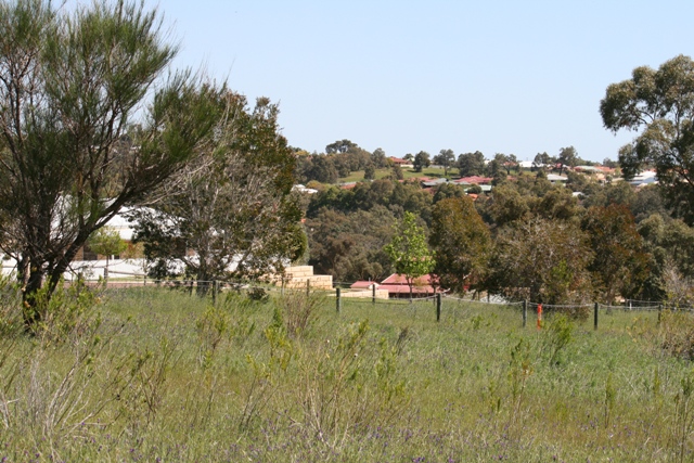 RARE OPPORTUNITY Picture 3