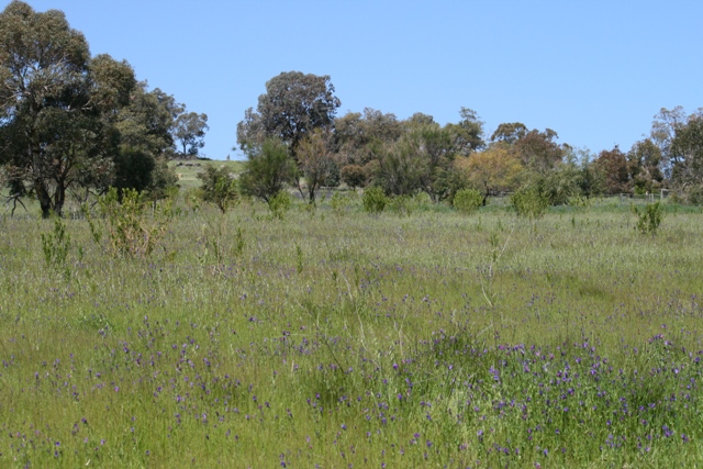 RARE OPPORTUNITY Picture 2