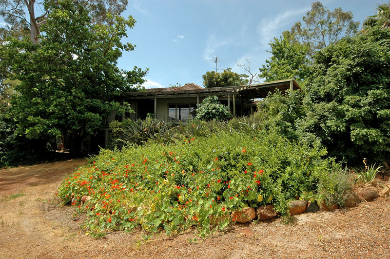 GREENGLADES Picture 2