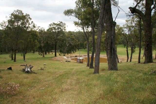 IDEAL STUD PROPERTY Picture 3