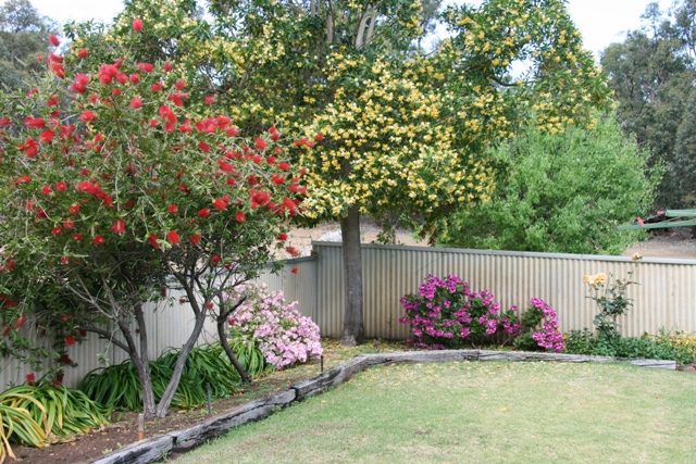 IDEAL STUD PROPERTY Picture 2