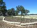 REDGUM RISE Picture