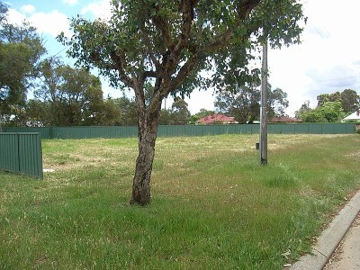 SURVEY STRATA Picture