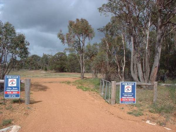 GOOD START FOR HORSES Picture 1