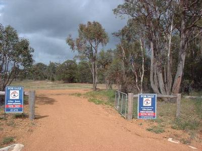 GOOD START FOR HORSES Picture