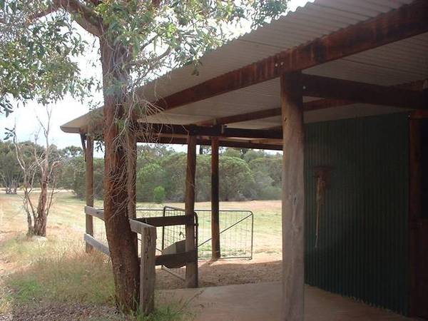 GOOD START FOR HORSES Picture 3