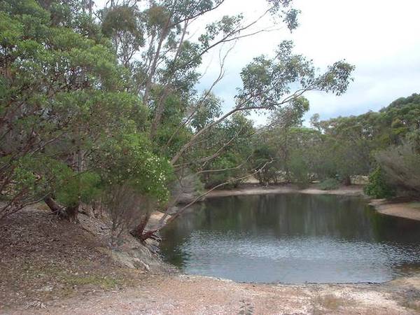 GOOD START FOR HORSES Picture 2