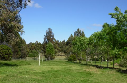 STUNNING HORSE PROPERTY Picture 2
