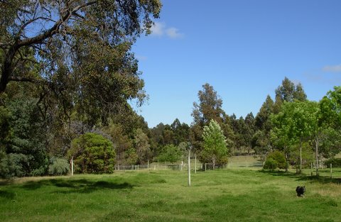 STUNNING HORSE PROPERTY Picture 3