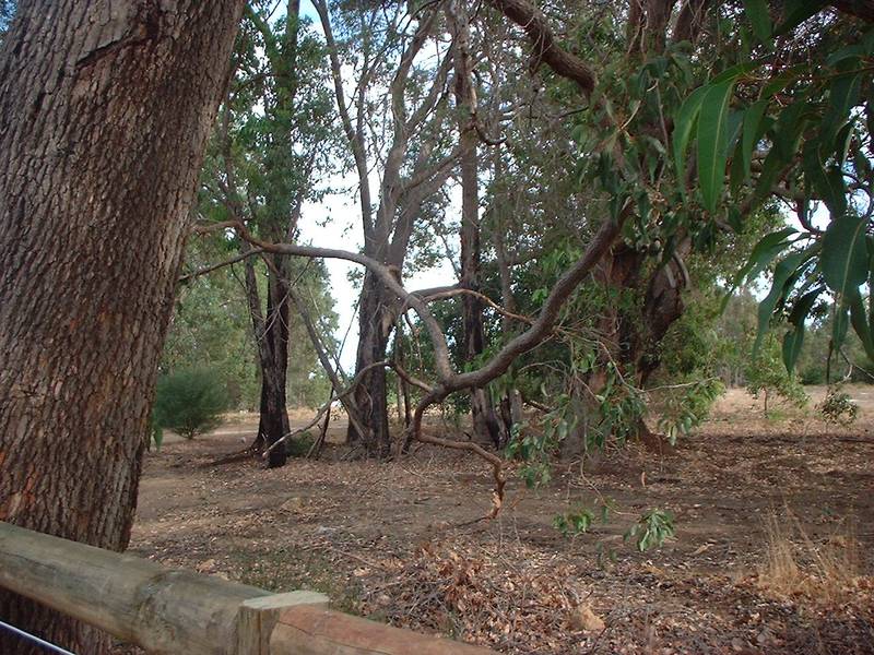 2001sqm Building Block Picture 2