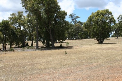 UNIQUE SUB-DIVISION Picture