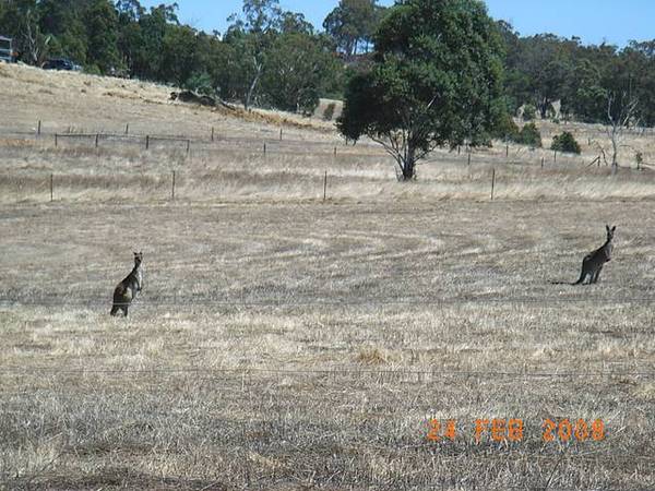 FANTASTIC 5 ACRE BLOCK - VACANT LAND Picture 1