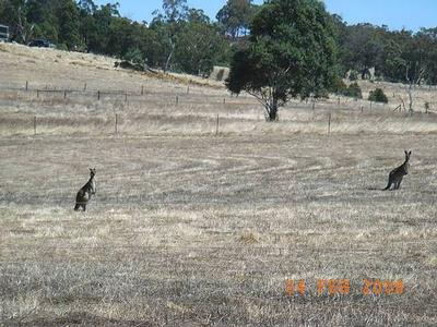 FANTASTIC 5 ACRE BLOCK - VACANT LAND Picture