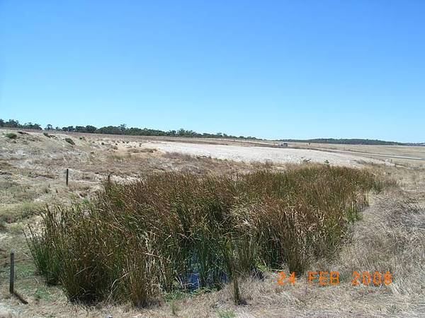 FANTASTIC 5 ACRE BLOCK - VACANT LAND Picture 3