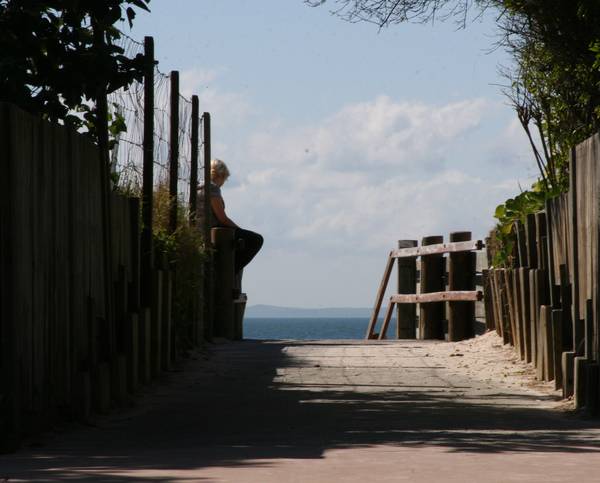 On the Surf Side Picture 1