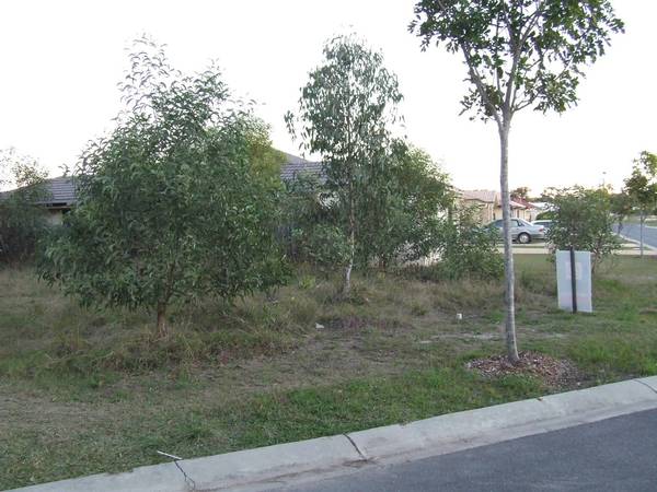 Vacant Land At Sandstone Point Picture 2