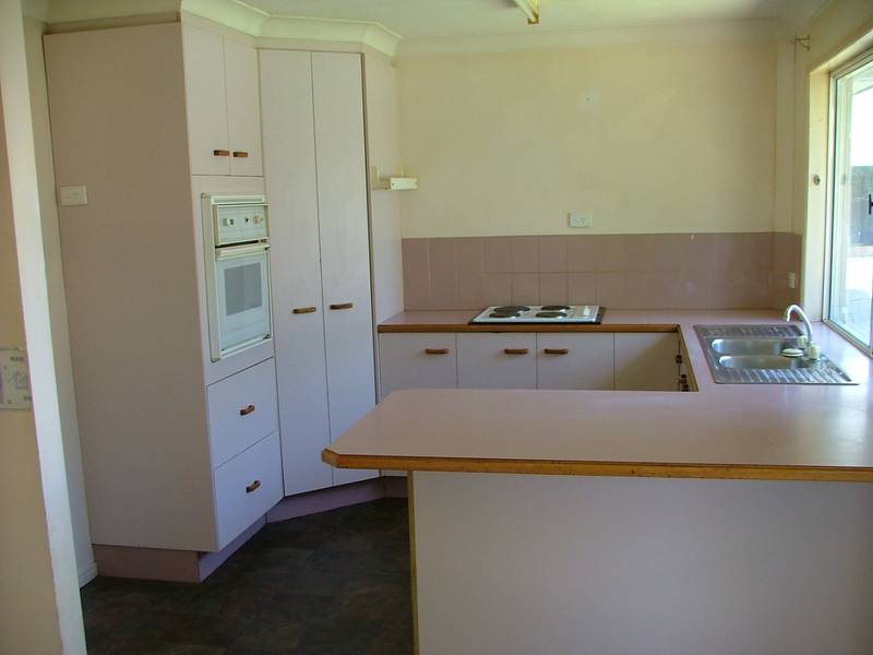 Paint & Profit! Carpet & Collect! Picture