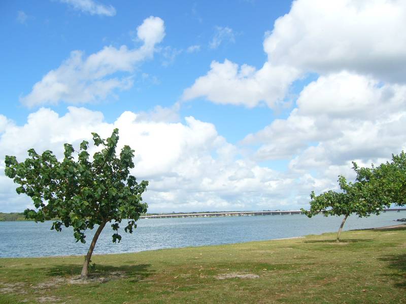 Overlooking Water & Park Picture 2