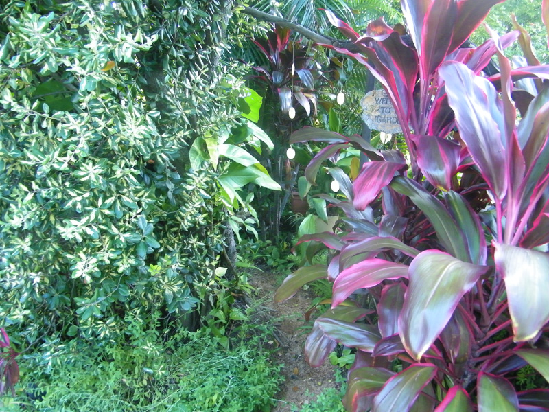 Throw in the crab pots Picture 1